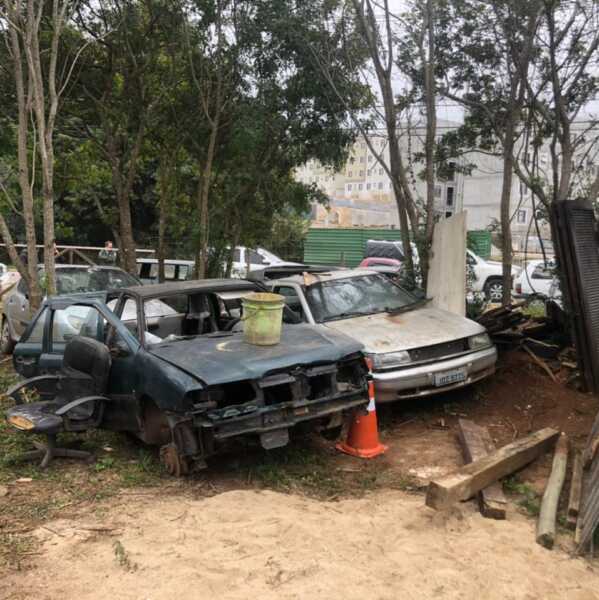 Polícia Civil de Araucária prende homem por crime ambiental