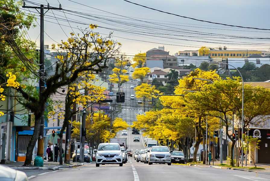 Araucária terá semana abafada. Confira a previsão