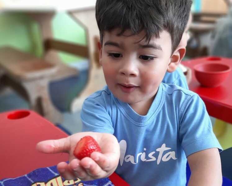 Projeto Cultura Alimentar é sucesso no Colégio Marista Sagrado Coração de Jesus