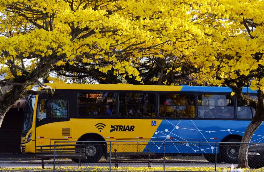 Semana promete ser de temperaturas amenas em Araucária. Confira a previsão