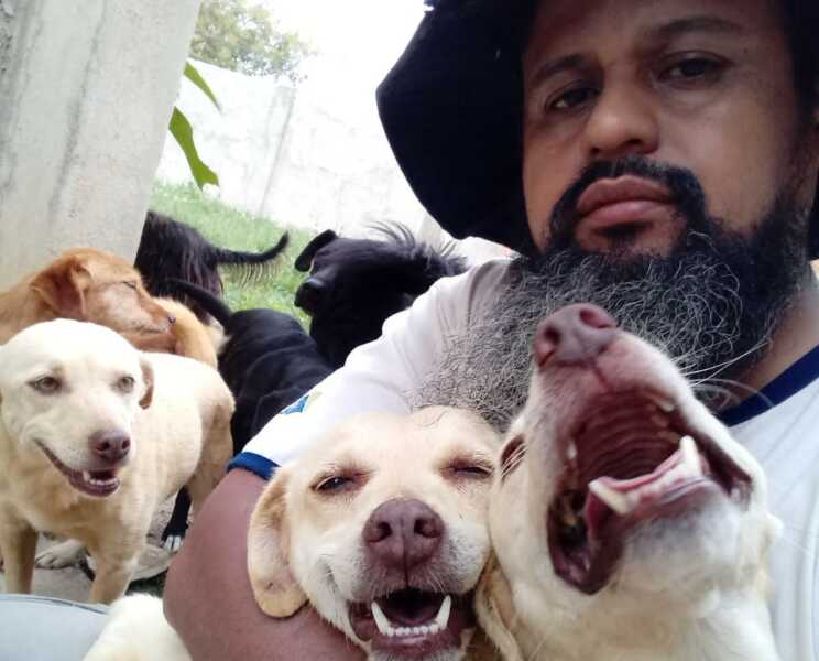 Protetor independente que cuida de 48 cães precisa de ajuda para manter abrigo