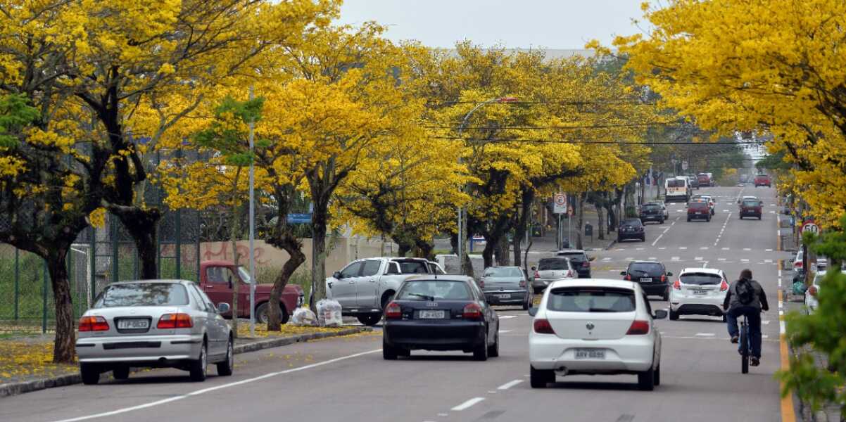 Próximos dias serão nublados em Araucária