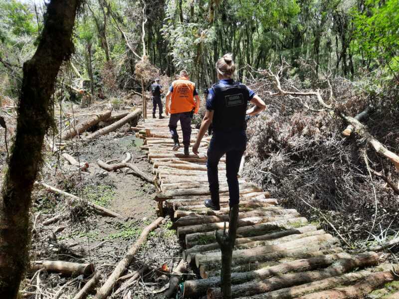 Guarda Municipal monitora área com ameaça de invasão