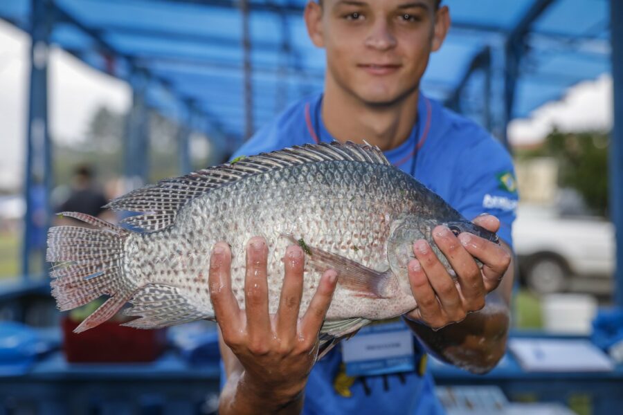 Acontecerá a 30ª edição da feira do peixe vivo