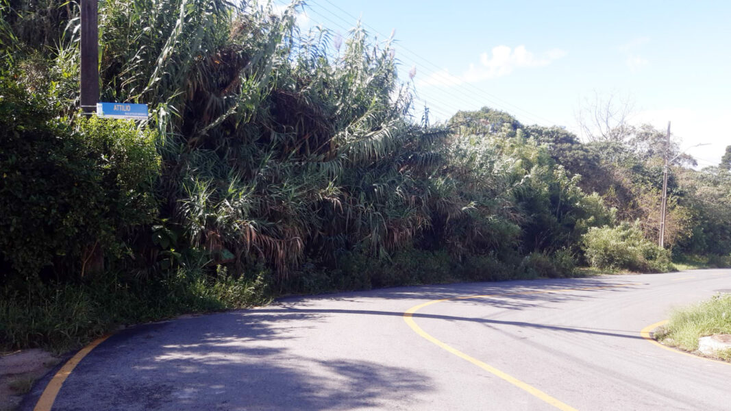 Moradores do Jardim Santa Eulália pedem roçada e corte de galhos em algumas vias