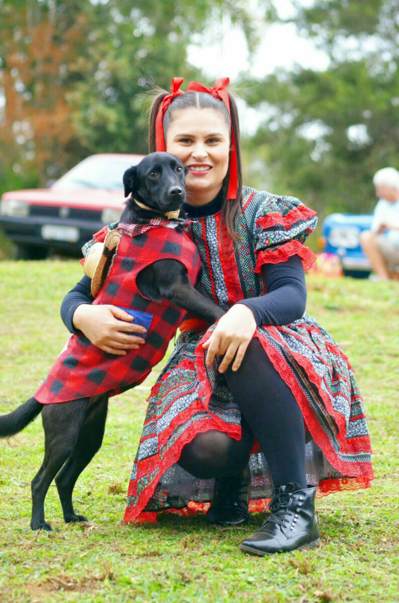 Companhia dos Bichos inova com serviço de creche para cães