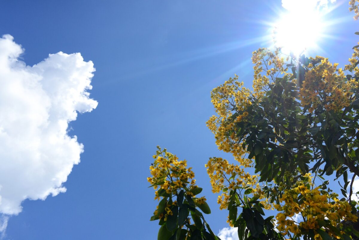 Sol dá as caras em Araucária durante a semana