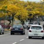 A previsão de chuva continua em Araucária