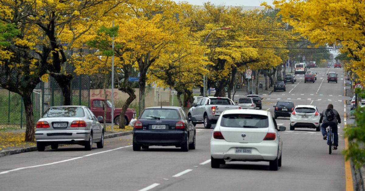 A previsão de chuva continua em Araucária