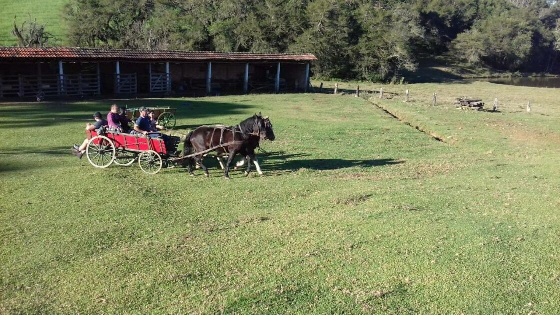 Caminhos do Guajuvira: 13 lugares para conhecer o turismo rural em Araucária