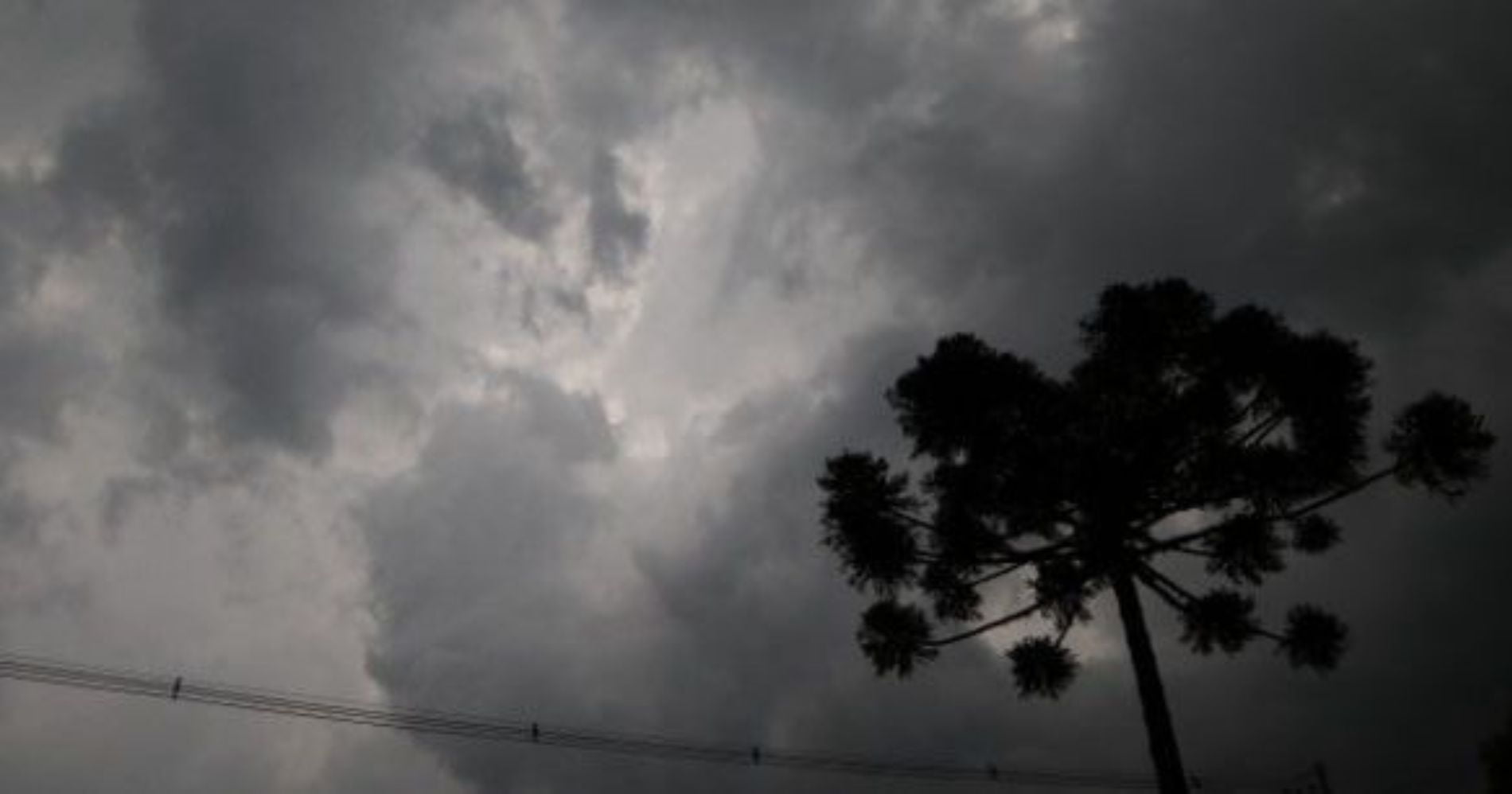 Previsão de temperaturas amenas e pancadas de chuva em Araucária