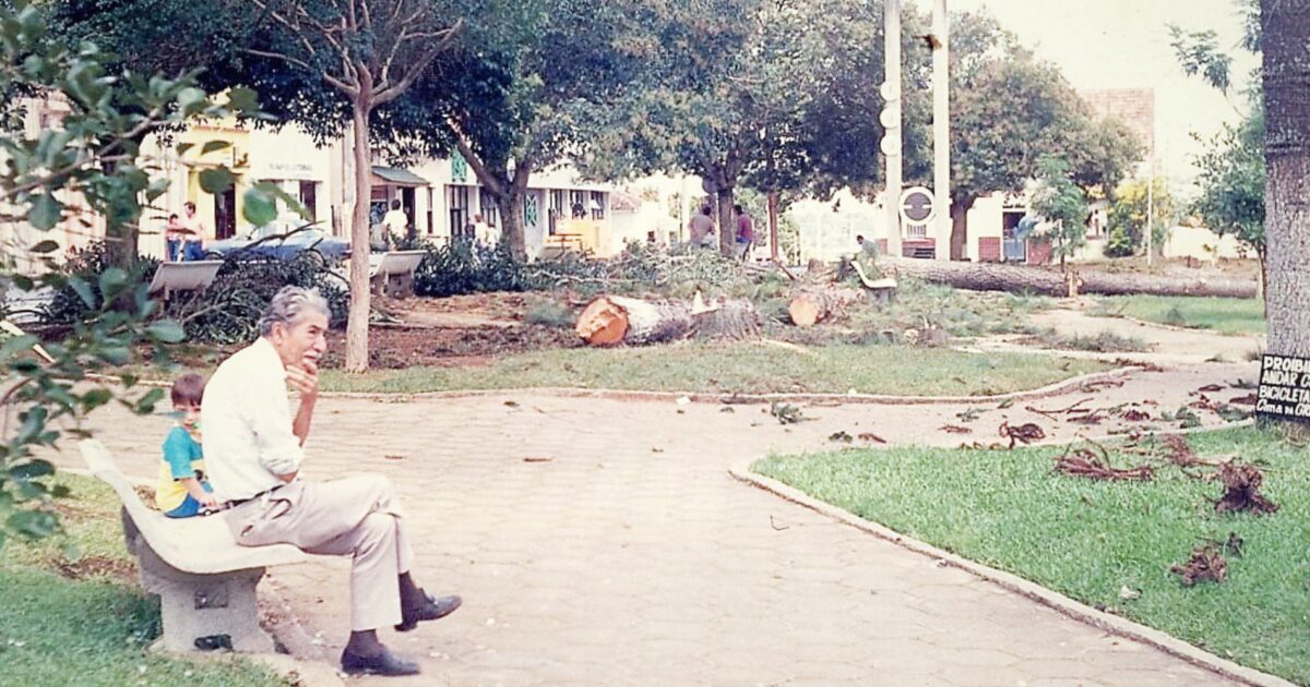 Terezinha Poly: Sentado no banco da Praça