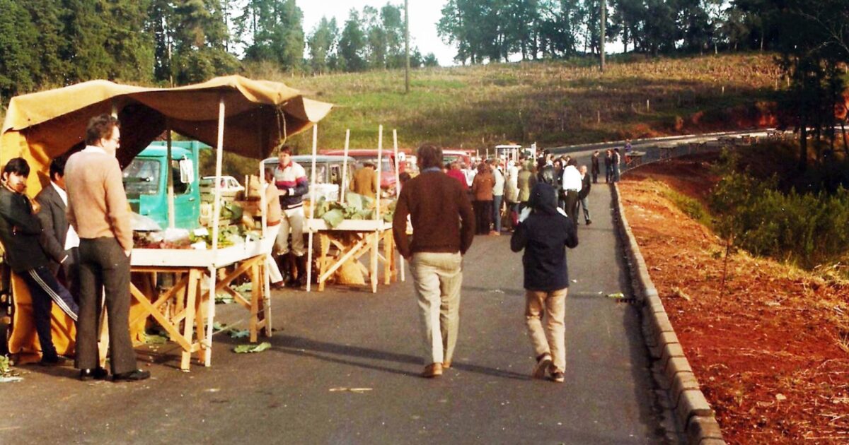 Terezinha Poly: A Primeira Feira Livre de Araucária