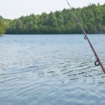 Eliziel Dutra: Coluna do Pescador