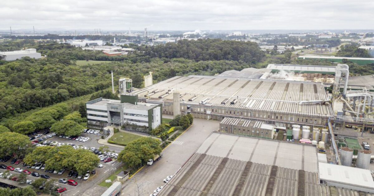 Berneck e Araucária, uma história que já dura quase 40 anos