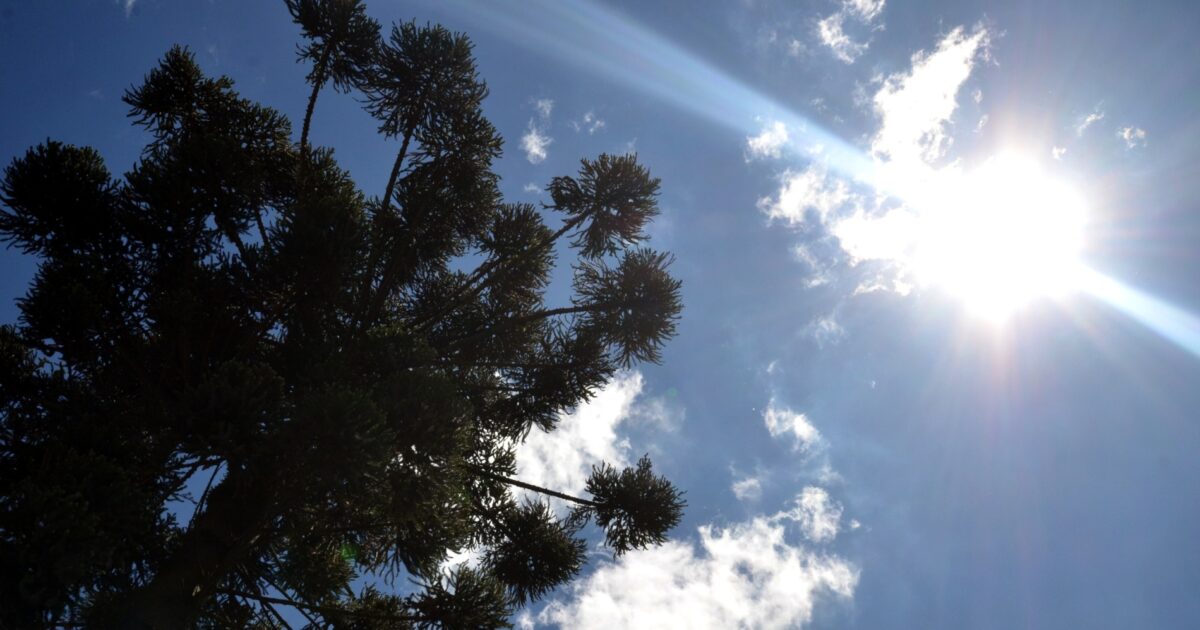 Clima no final de semana será de calor e temperatura vai chegar a 31