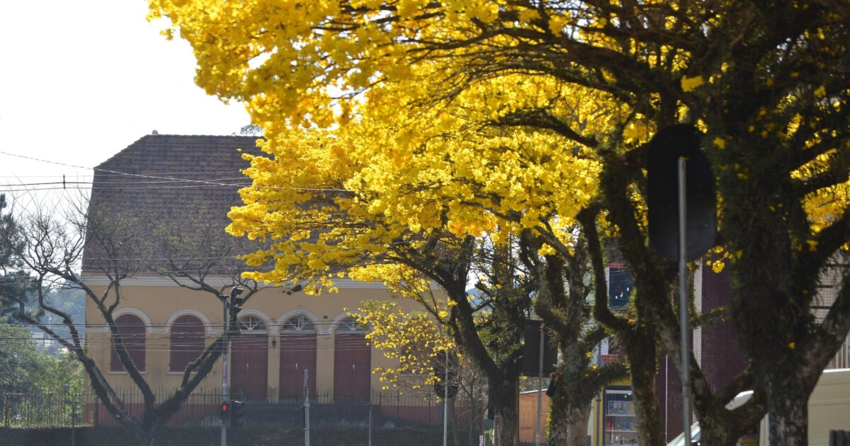 Semana começa com a temperatura quente mas a chuva volta na quinta