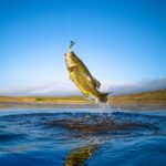 Eliziel Dutra: coluna do pescador