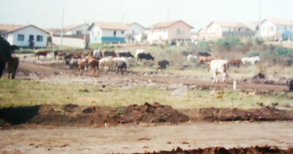 Terezinha Poly: As primeiras casas do Tayrá