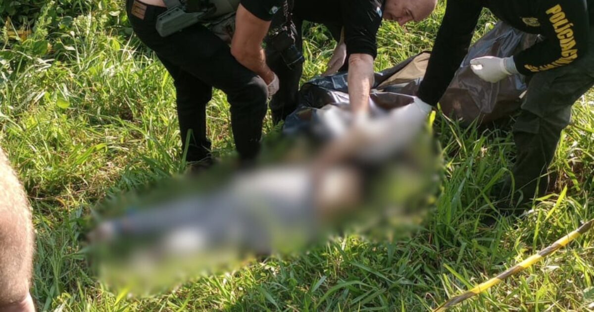 Corpo de jovem é encontrado com partes mutiladas às margens da PR-423