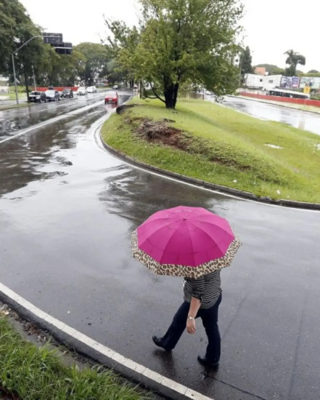 Imagem de destaque - Semana começa com chuva forte e céu nublado