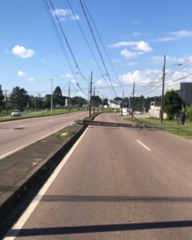 Caminhão de carga alta derruba poste na Avenida das Araucárias