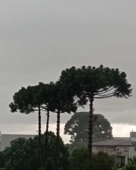 Imagem de destaque - Previsão do tempo marca chuva para o início desta semana