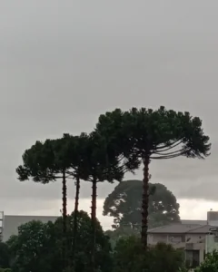 Imagem de destaque - Previsão do tempo marca a volta de chuva para o início desta semana