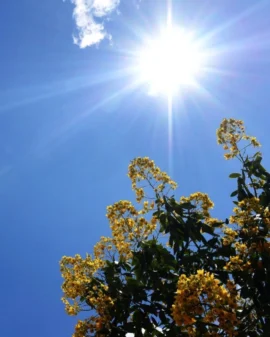 Semana permanece com temperaturas amenas e nenhum sinal de chuva