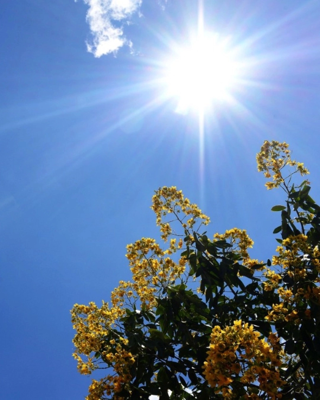 Semana permanece com temperaturas amenas e nenhum sinal de chuva