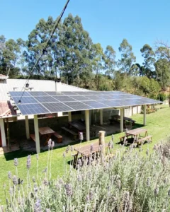 Chácara São Miguel moderniza produção de morango com energia solar renovável