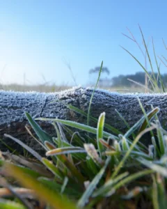 Dia dos Pais será marcado com geada e temperatura mínima chegando a 4 °C