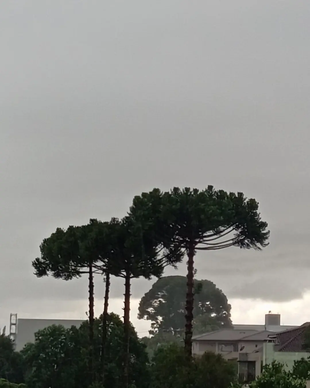 Apesar da semana iniciar com céu claro, previsão marca chuva para esta quinta (05)