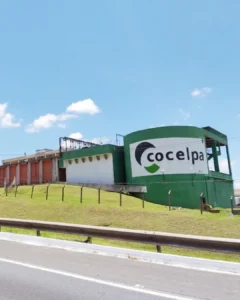 Cocelpa é destaque no setor de celulose, papel Kraft e embalagem