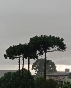 Previsão marca chuva apenas para este sábado (11)